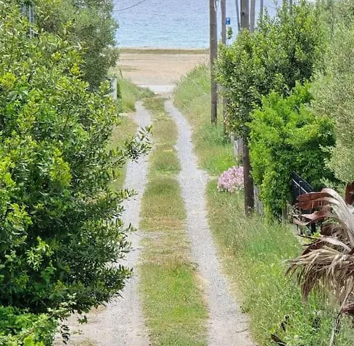 Seashell Tiny House Vakantiehuis