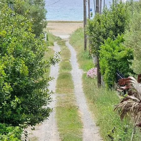 Seashell Tiny House Hébergement de vacances